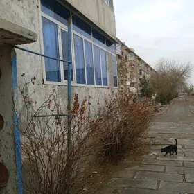 квартира 1этаж 4 комнат