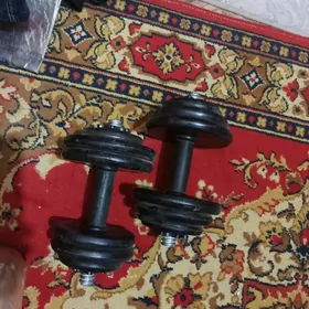 спорт.инвентарь