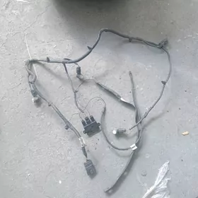 парктроник