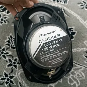 pioneer kalonka