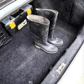 Резиновые сапоги