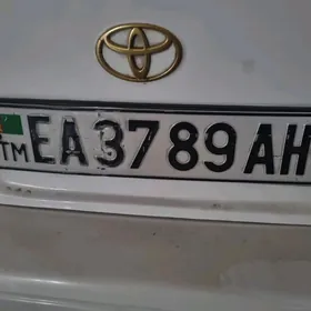 maşynyñ nomeri yitdi