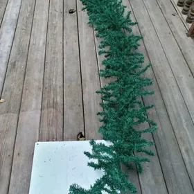 Ветки ёлочные