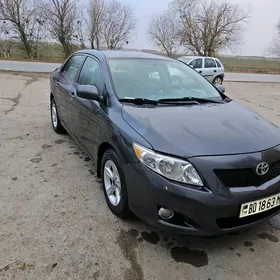 Toyota Corolla 2010