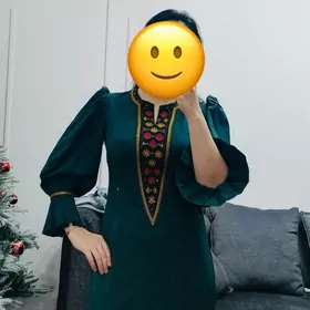 Geýilen arassaja koynekler