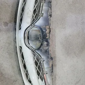 Abilsofka carola 2011