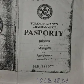 PASPORT YITDI