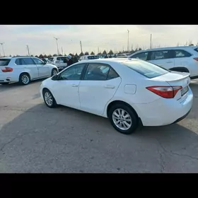 Toyota Corolla 2014