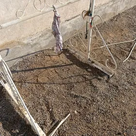 Sallanjak ba gyssagly