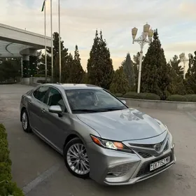 Toyota Camry 2020