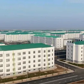 Buzmeyin gres Pol elitka Безме