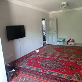 arenda jay eyesinden