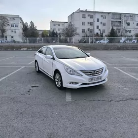 Hyundai Sonata 2010