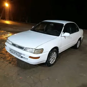 Toyota Corolla 1995