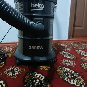 Pylesos,  Tozan soryjy.