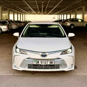 Toyota Corolla 2021