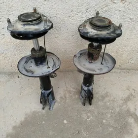 Corolla amesator apora