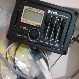 Gitara zwukosnimatel