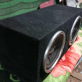 2 pioner Bocka usilityl