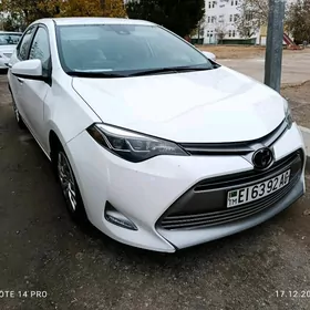 Toyota Corolla 2019