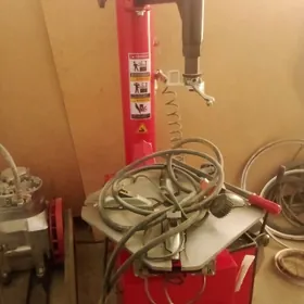 wulkanzasiya enjamlary