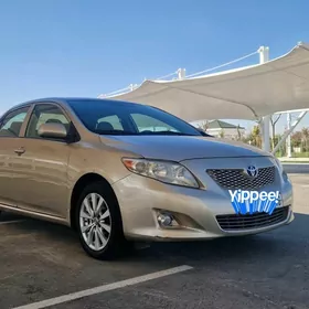 Toyota Corolla 2008