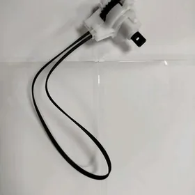 tros ayna ýuze geciryan