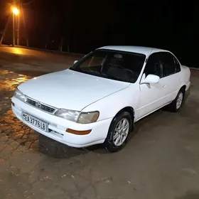 Toyota Corolla 1995