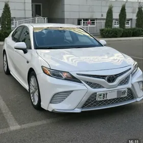 Toyota Camry 2019