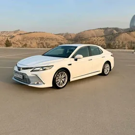 Toyota Camry 2019