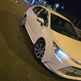 Toyota Corolla 2024