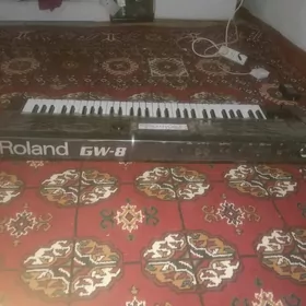 Ritm blok Rolond GW-8