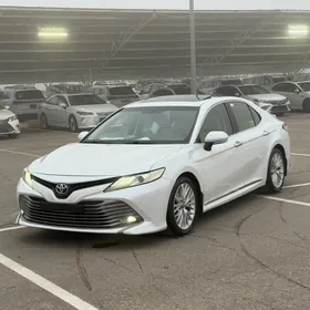 Toyota Camry 2019