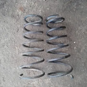 carona carina purźyn