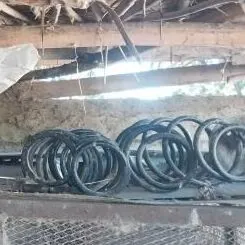 kamry babyçga şaýlary