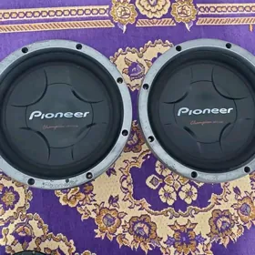 usulitel bass bocka pionner Bo