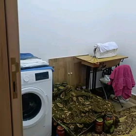 16 TAPGYR ЭЛИТКА