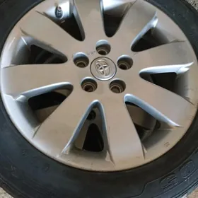 17 lik diske pokriska