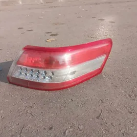 Stopnik öküz kelle