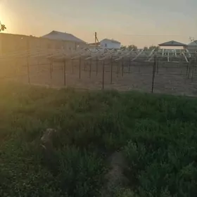 Wrmýanka we melle ýer