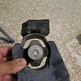 carolla padushka 2012