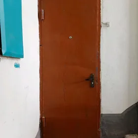 металлическая дверь