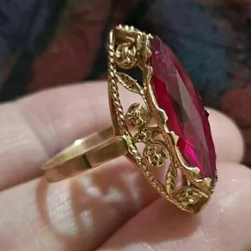 gyzyl gadymy lotka yuzik