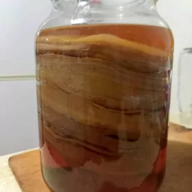 ОТДАМ ЧАЙНЫЙ ГРИБ