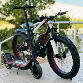 TIGIR HADINOK PARTA STOL ROLIK