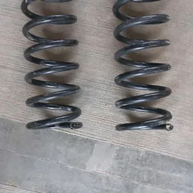 puržin 2010 karolla