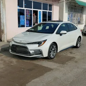 Toyota Corolla 2020