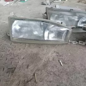 samsyk kamry fara çüyşe