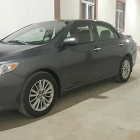 Toyota Corolla 2010