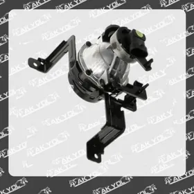 TUMANNIK CADENZA 2019